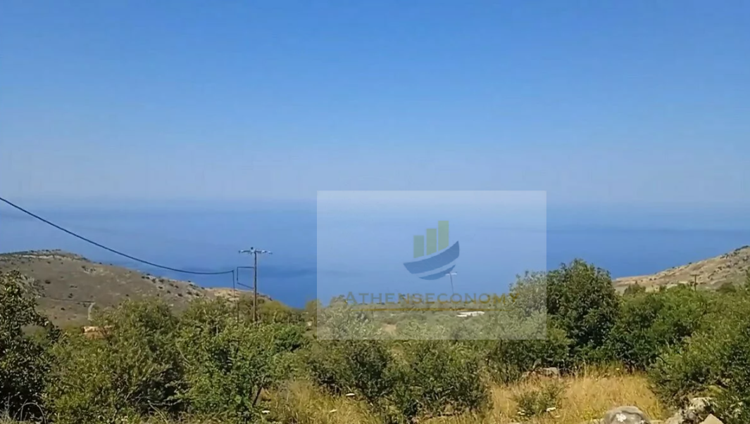 Seaview land for sale in Elaiochori, Oitylo.