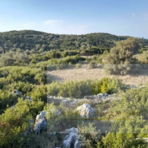 Land for sale in Lefkada, Tsoukalades (3)