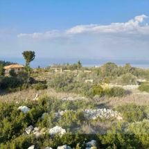 Land for sale in Lefkada, Tsoukalades (4)