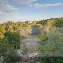 Land for sale in Lefkada, Tsoukalades (5)