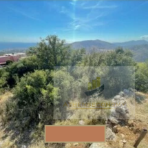 Plot of land in Karyes, Chios (1)