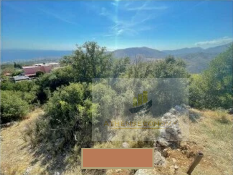 Plot of land for sale in Karyes, Chios.