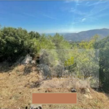 Plot of land in Karyes, Chios (2)