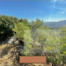 Plot of land in Karyes, Chios (3)