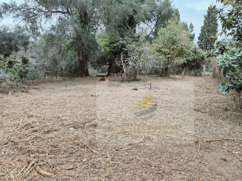 Building Land for Sale in Kouramades, Corfu