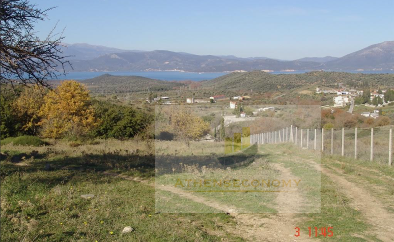 Building plots for sale in Agios, Evia