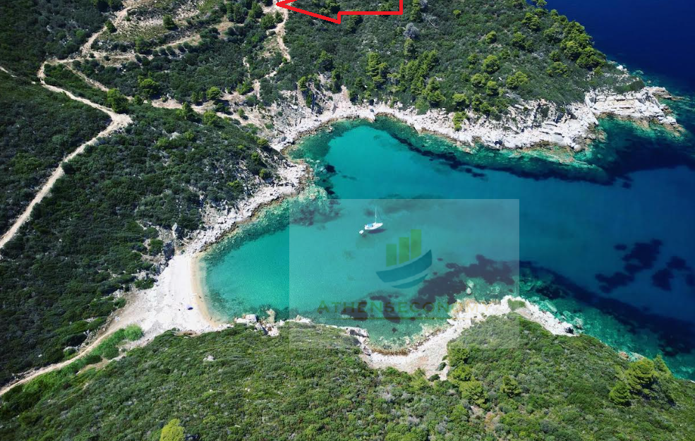 Unique Opportunity: Seaside Land for Sale in Sarti,Sithonia!